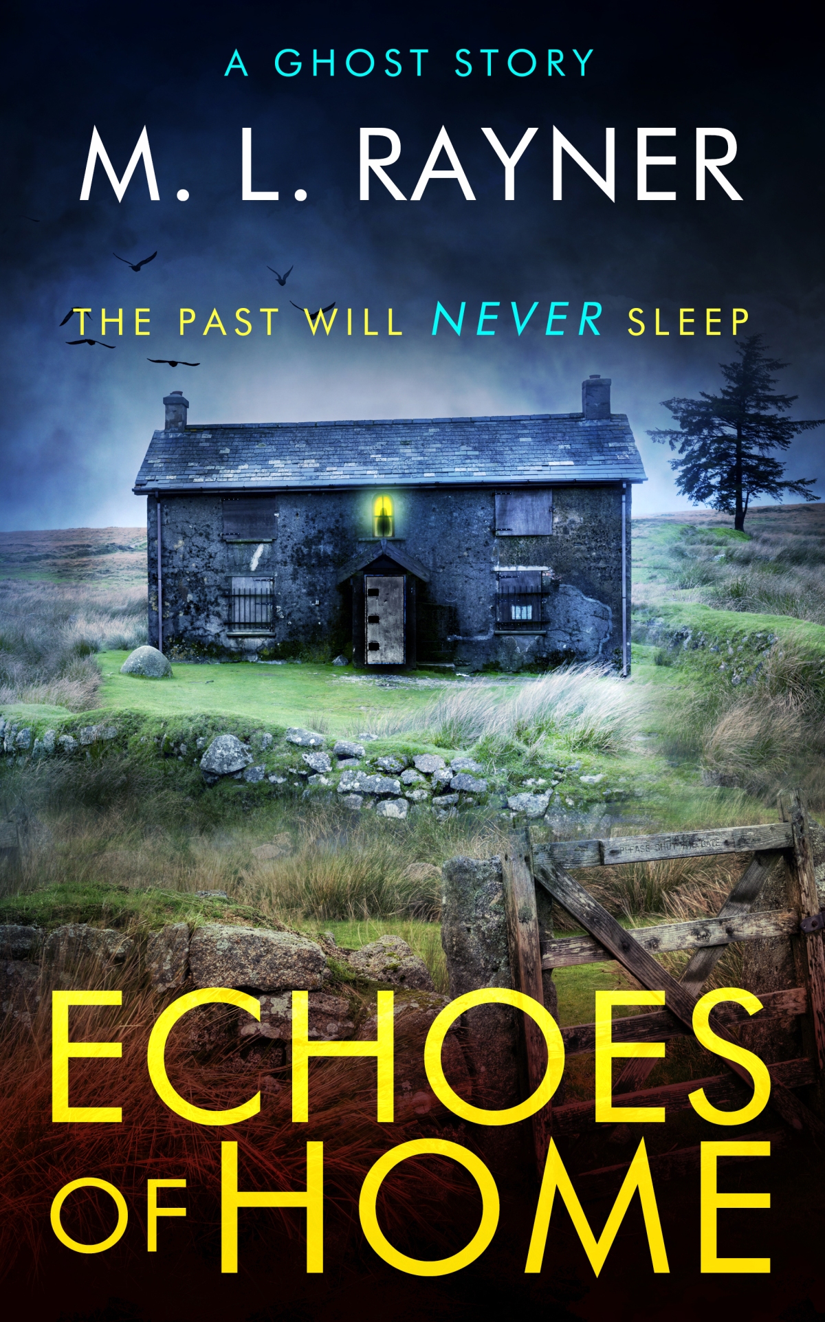 #EchoesofHome by M.L. Rayner @M_L_Rayner @QuestionPress @zooloo2008 #QuestionMarkPress #ZooloosBookTours